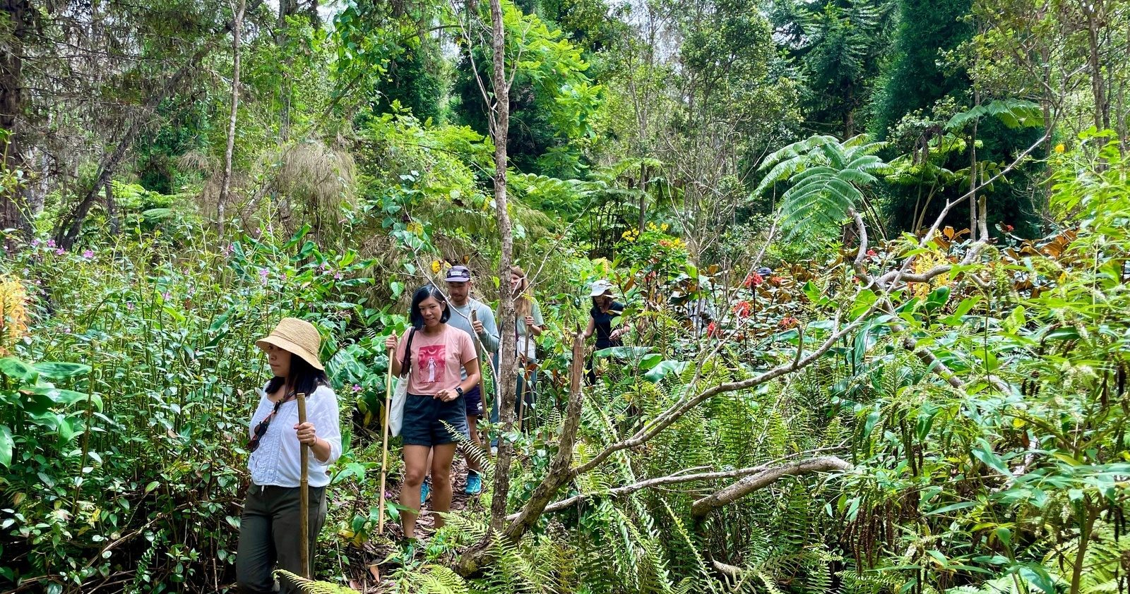 A small group walking single file with bamboo walking sticks along a narrow trail through dense green ferns and trees