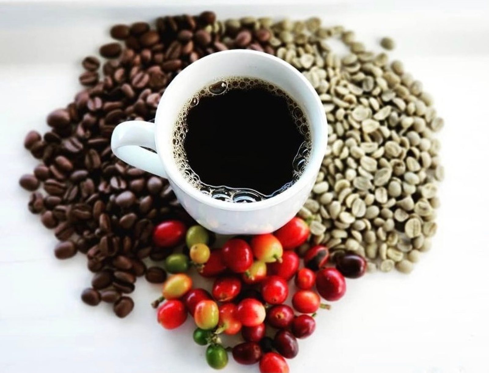 A white cup of black coffee surrounded by roasted beans, green unroasted beans and red and green coffee cherries