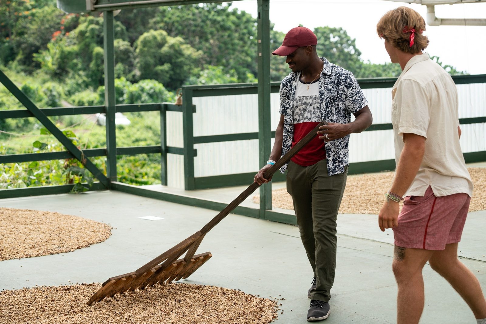 A visitor raking coffee beans spread out to dry on a covered drying deck, with a guide watching