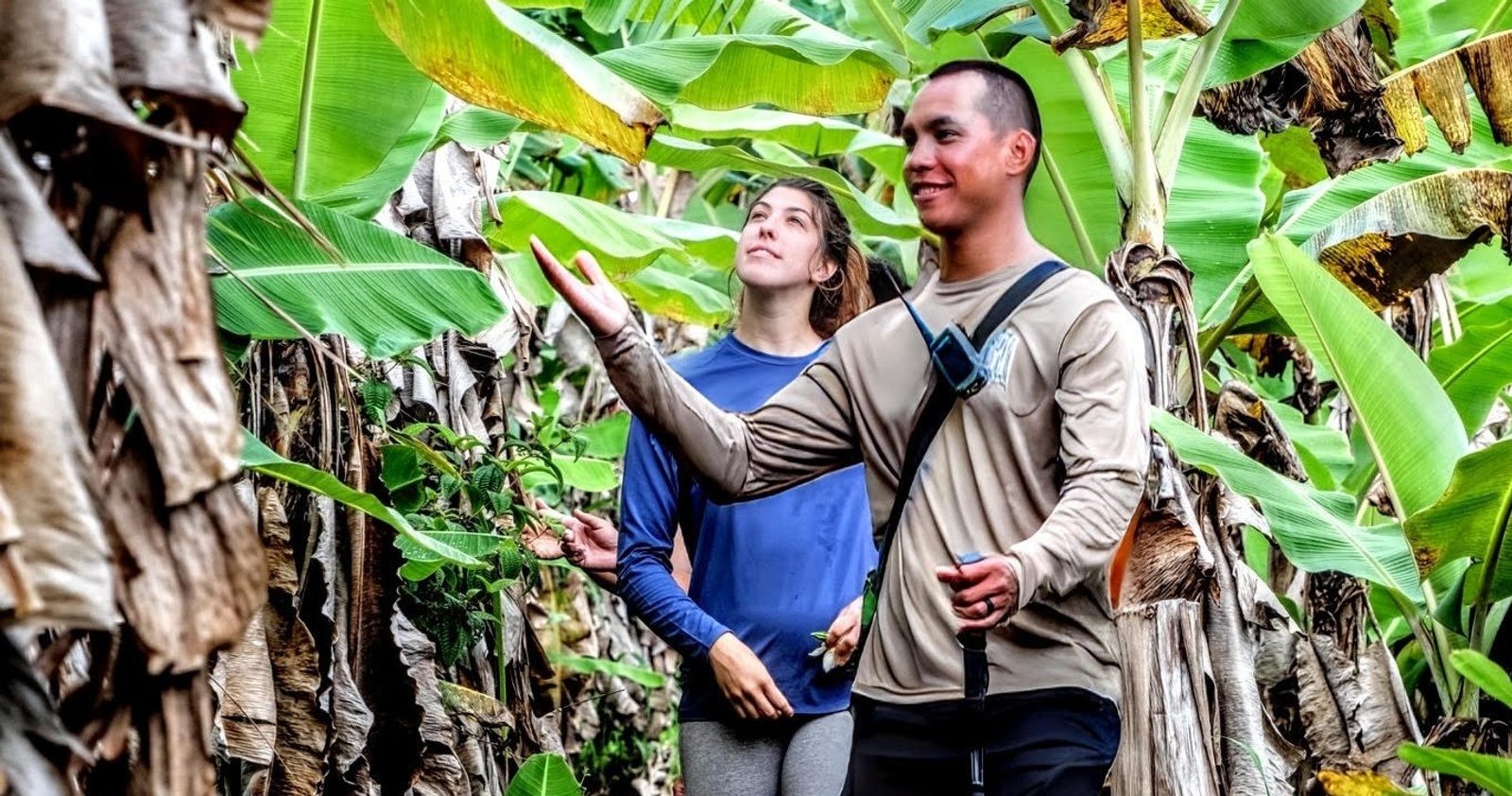 A guide pointing out plants to a hiker on a trail through a grove of tall banana trees