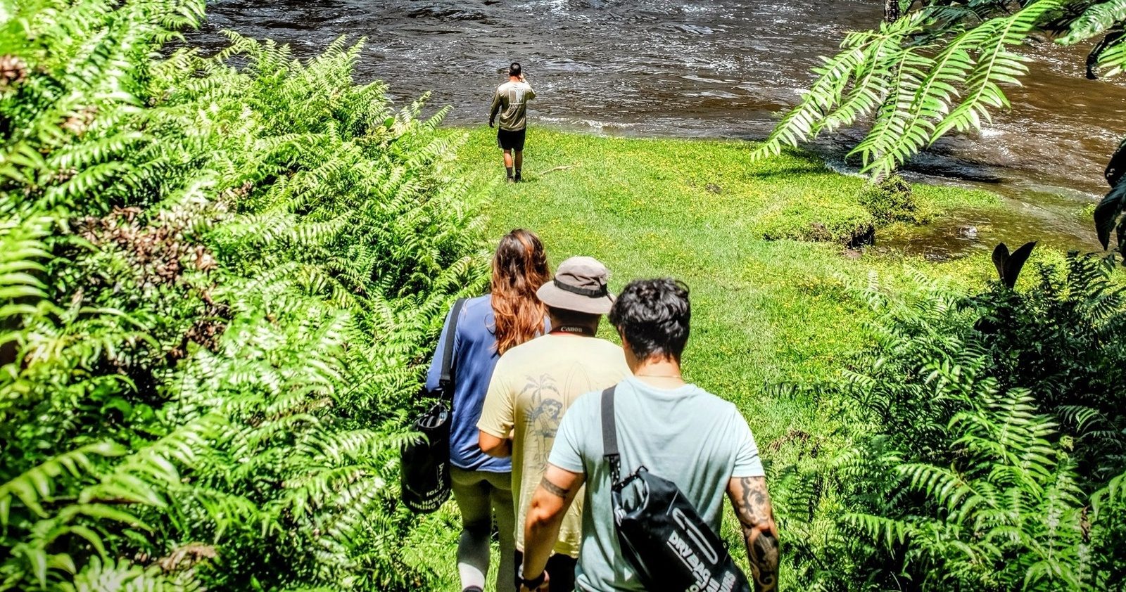 Hikers walking single file between ferns down to a wide, fast-moving stream, with the guide waiting at the water's edge