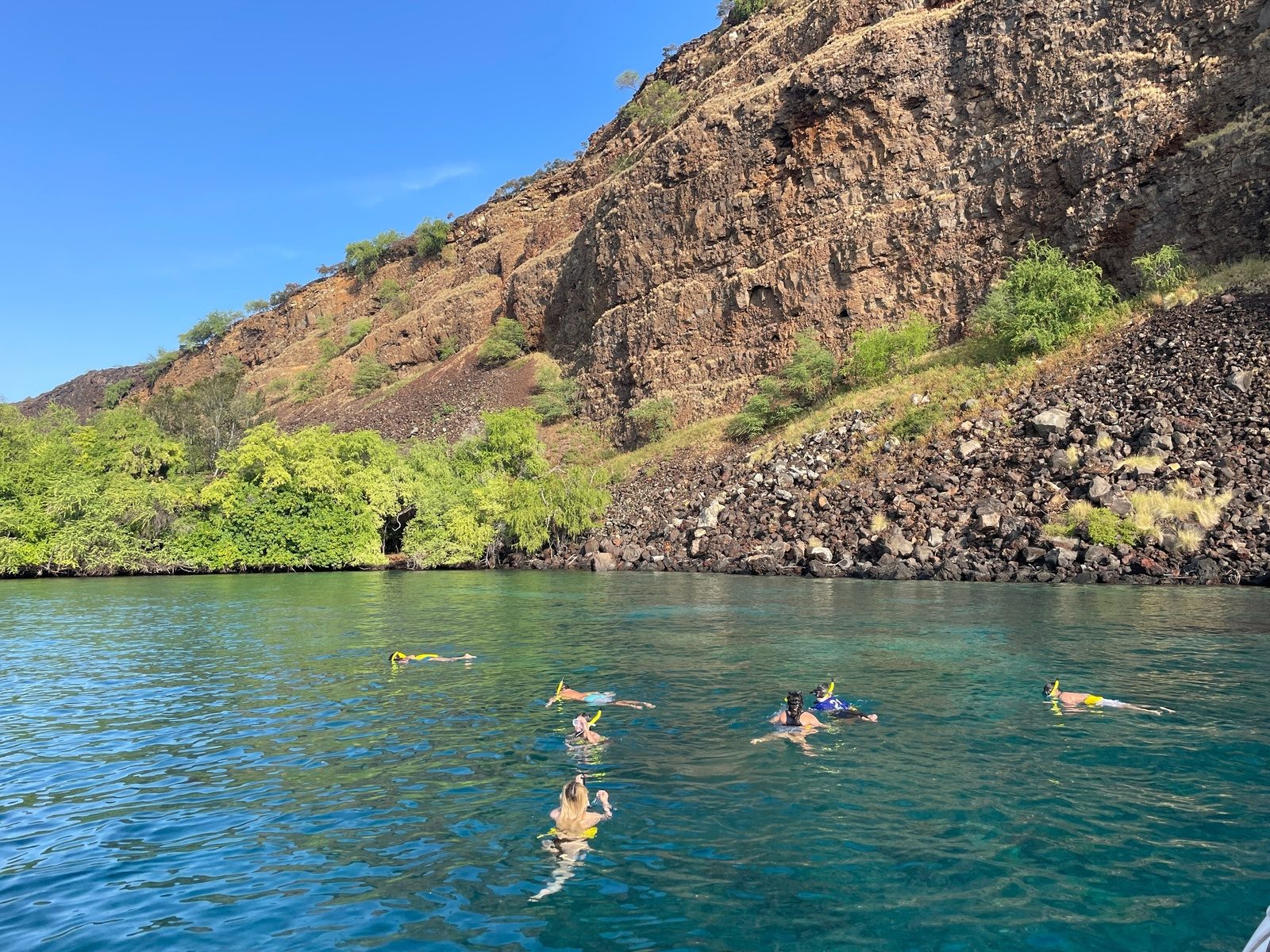 Seven snorkelers floating in clear turquoise water at the foot of a tall brown lava cliff and green trees