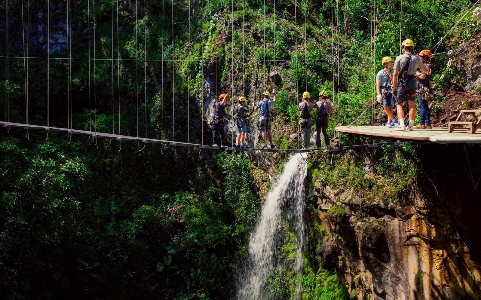 A line of zipliners crossing a suspension bridge over a gorge where a waterfall drops into the trees below