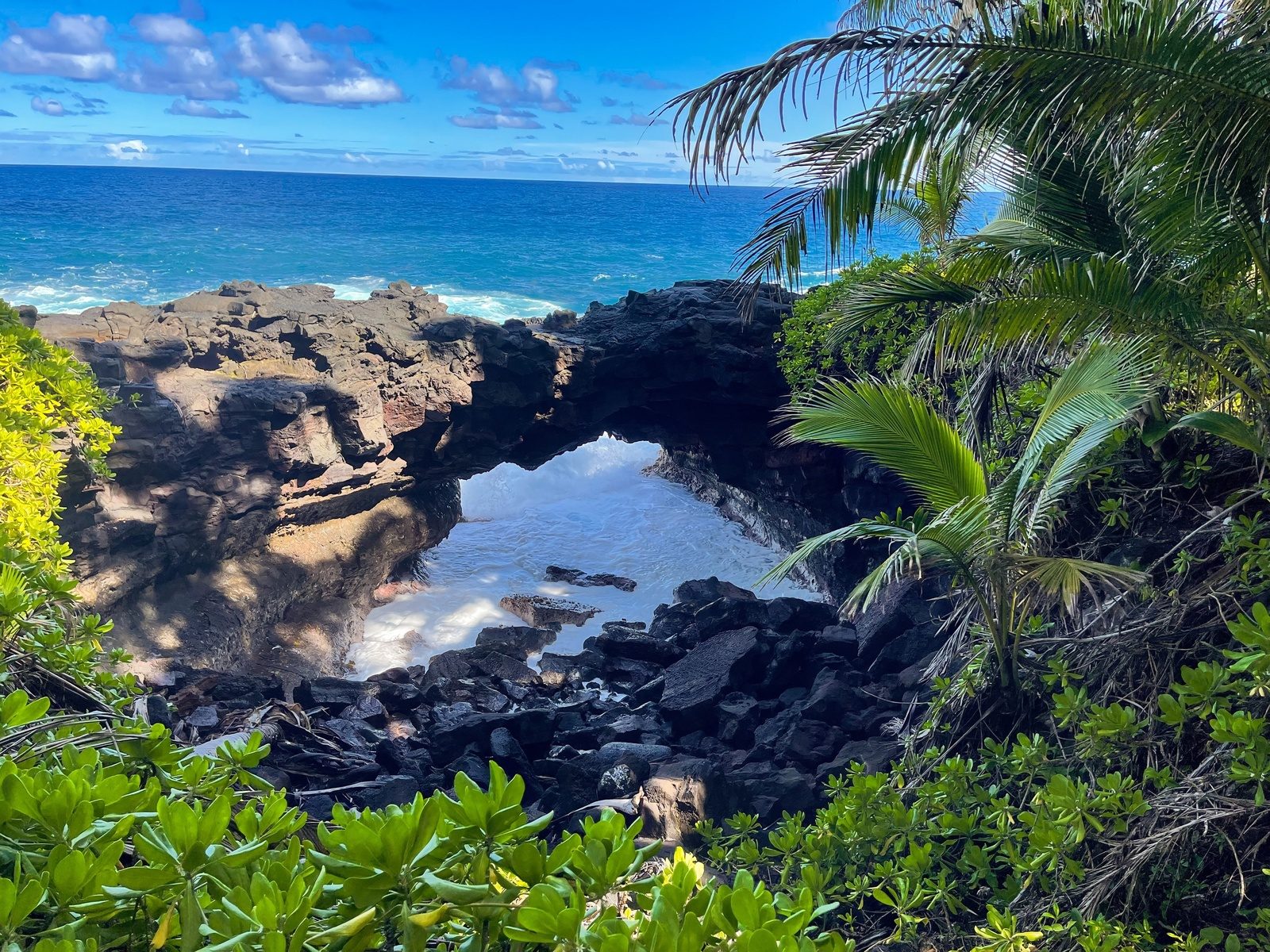 A natural lava rock arch over churning white surf, framed by palms and green coastal shrubs