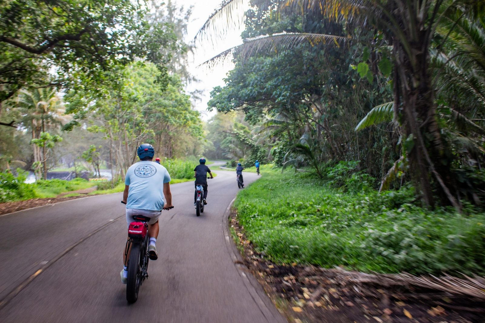 Riders on fat-tire e-bikes cruising single file along a winding road shaded by palms and green forest