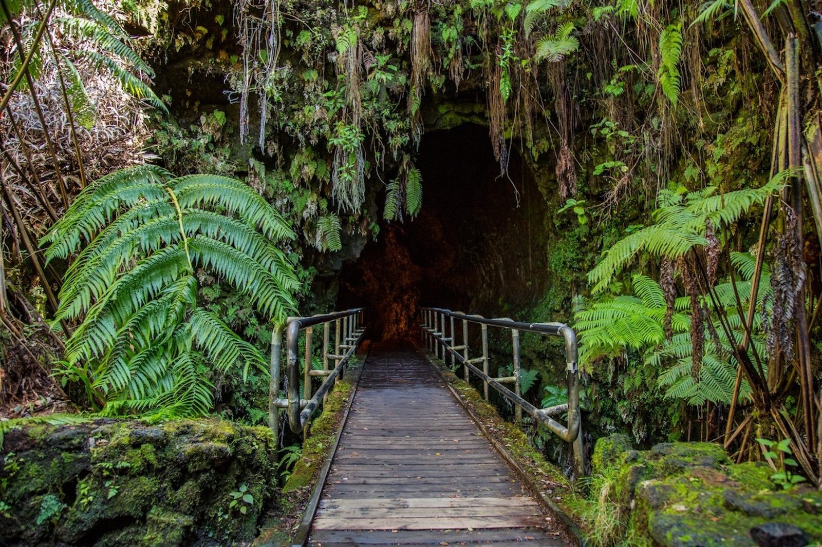 A wooden footbridge with metal railings leading into the dark mouth of a lava tube, framed by tree ferns and hanging roots