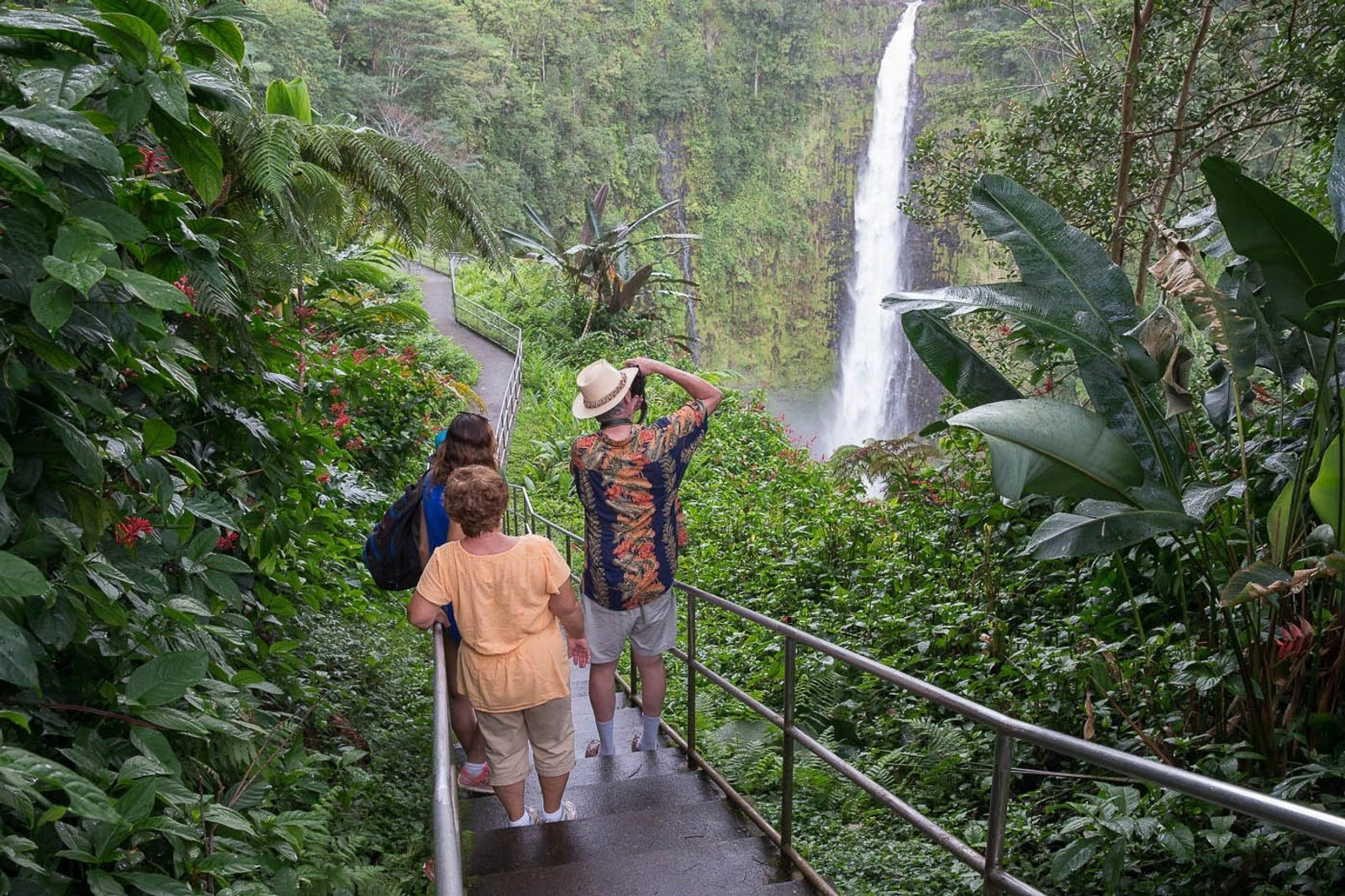 Visitors walking down a railed concrete stairway through rainforest toward a tall, thin waterfall